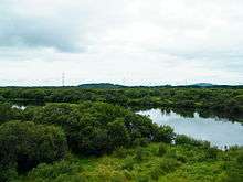 Malinovka River