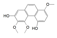 Chemical structure of 3,4,8-trimethoxyphenanthrene-2,5-diol.png