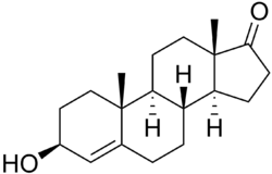 Skeletal formula of 4-dehydroepiandrosterone