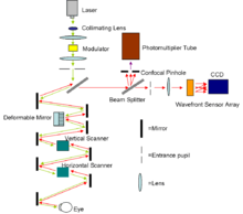Diagram of the AOSLO setup