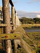 A close up of the footbridge across the Peffer Burn