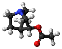 Ball-and-stick model of the aceclidine molecule