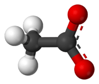 Ball-and-stick model of the acetate anion