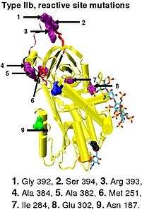 Active site mutations.jpeg