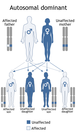 Autosomal Dominance