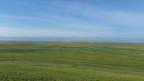 Bayan Baluk Reserve, with cutoff lakes of the Kaidu River