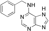 Skeletal formula of 6-benzylaminopurine