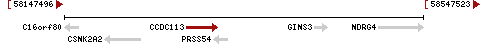 CCDC113 Graphical Representation