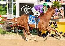 A reddish-brown racehorse and jockey gallop past the finish line