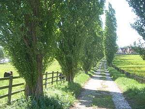 College Farm driveway