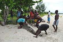 Eight laborers work to concealing a rosewood log by burying it on a beach, with several onlookers surrounding them