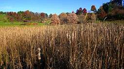 F.R. Newman Arboretum