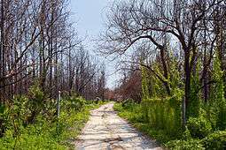 Private road leading to Cow Creek