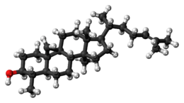 Ball-and-stick model of cycloartenol