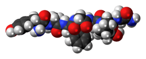 Space-filling model of the dermorphin molecule