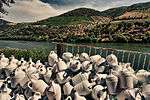 A river with terraced vineyards.