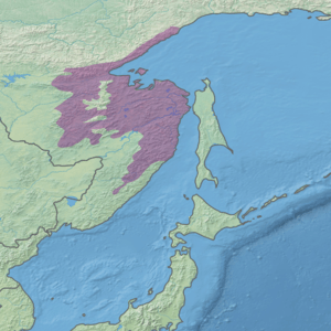 Ecoregion territory (in purple)