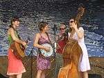 Women playing the banjo, guitar, bass and violin