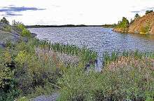 A different view of the lake with a shallow weedy area in the foreground, and a high area of mostly bare rock at the upper right