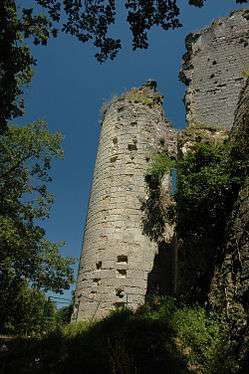 France Loir-et-Cher Lavardin chateau donjon 04.JPG