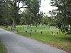 Laurel Grove-South Cemetery