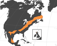 Extent of the Grenville orogeny