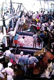 Fish being brought into a harbor