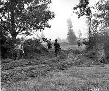 Hedges and trees cover each side of the photo. In the centre, a gap in the hedge, three men move away from the camera through the gap. A fourth man can be seen on the left side of the photo.