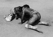 Huka-huka fight during a Kuarup ceremony