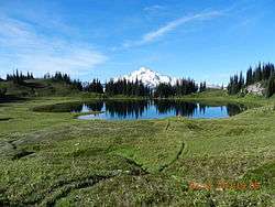 A small lake surrounded by meadows and trees with a large white mountain in the background