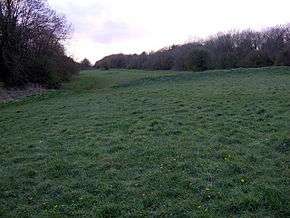 Picture of lumps on the side of a hill