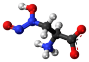 Ball-and-stick model of the L-alanosine molecule as a zwitterion