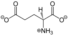 L-Glutamate Structural Formula