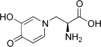Structural formula of L-mimosine