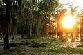 Lake Martin LA USA sunset.JPG