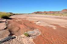 A sandy stream bed. In places, the sand is darkened by moisture.