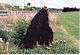 Brown triangular stone at edge of grassy field near fence and bank of motorway