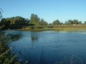 View of a channel through the marsh in Long Point Bay.