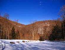 A snow-covered field with a line of boulders, in the background is a mountain with bare trees and a few evergreens under a deep blue sky