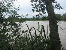 The Magdalena River at Villa Vieja