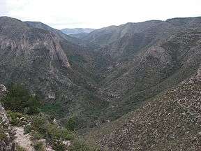 A photo looking up South McKittrick Canyon from above along the McKittrick Canyon Trail