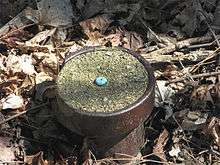 A photo of a survey mark.