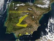 Distribution map of Narcissus cantabricus