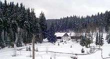 Natzschung valley in winter