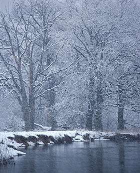 River Nerussa, Bryansk Nature Reserve