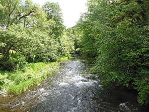 a small river with a stream bank lined by grasses and maple and alder trees in spring foliage