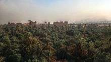 Date trees, with Palmyra in the background