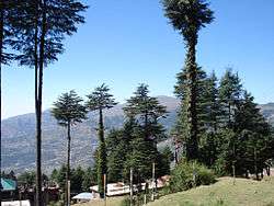 Patnitop: a view towards the mountains