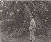 Luther Burbank gravesite