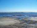 Pensacola FL Big Lagoon SP from obs tower04.jpg